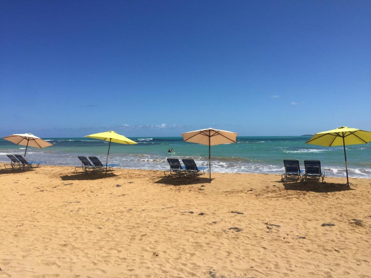 Apartament Blue Leaf By The Sea Luquillo Zewnętrze zdjęcie