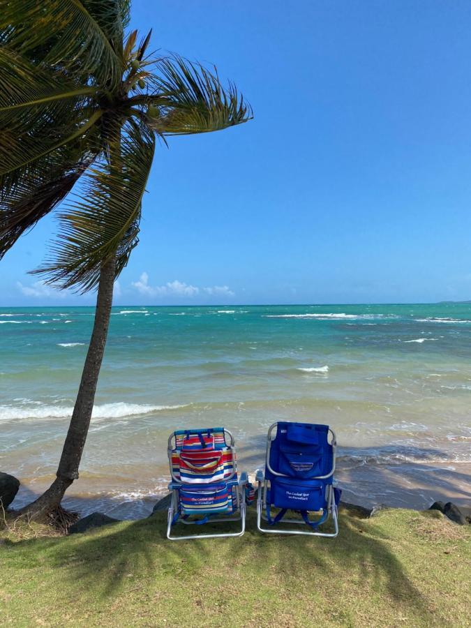 Apartament Blue Leaf By The Sea Luquillo Zewnętrze zdjęcie